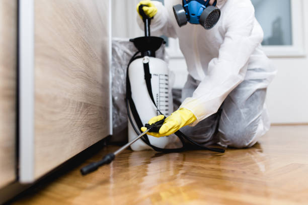 Flea Control Services in Andrews, SC