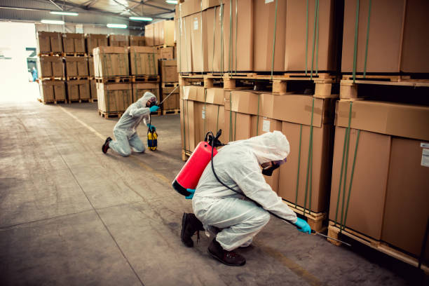 Reliable Andrews, SC Pest Control Solutions