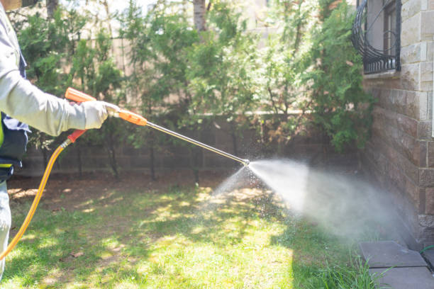 Best Pest Control Near Me in Andrews, SC