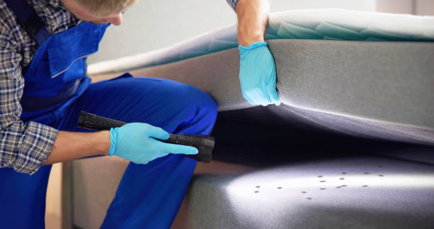 Best Pest Control Near Me  in Andrews, SC
