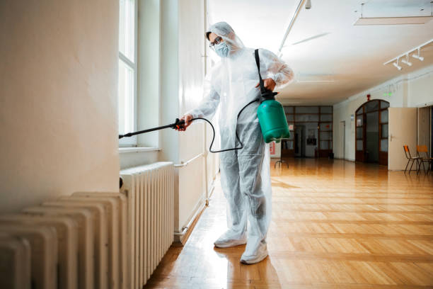 Best Flea Control Services  in Andrews, SC